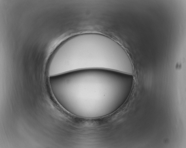 X0000113960248200909251034