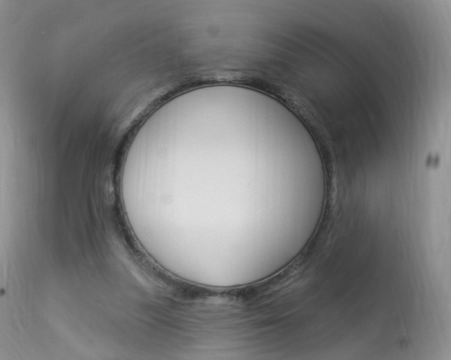 X0000113960251200909251034