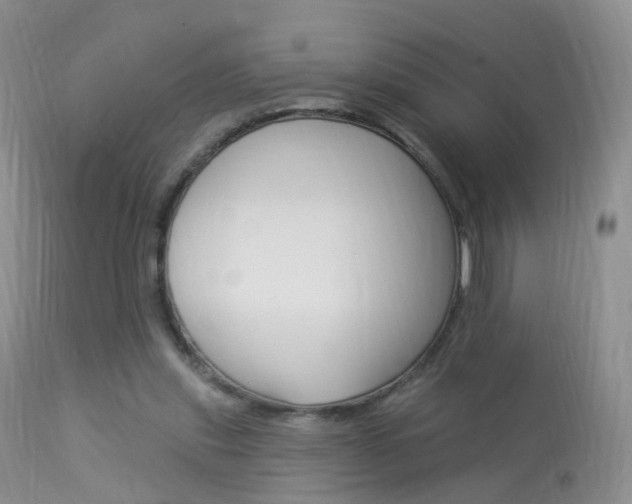 X0000113960253200909251034