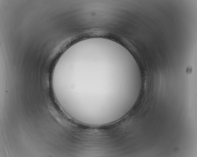 X0000113960254200909251034