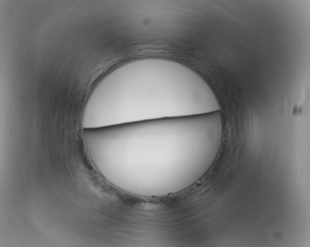 X0000113960255200909251034
