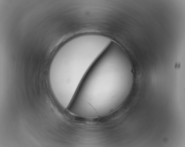 X0000113960256200909251034