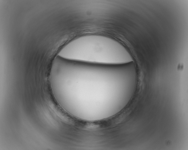 X0000113960257200909251034