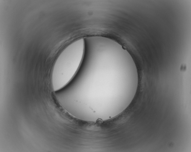X0000113960258200909251034