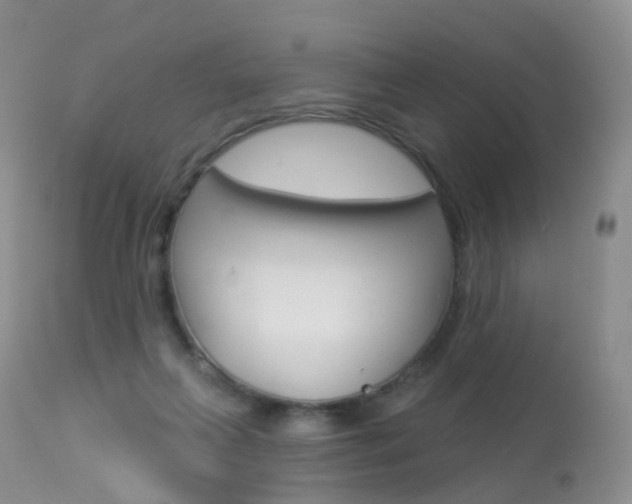 X0000113960263200909251034