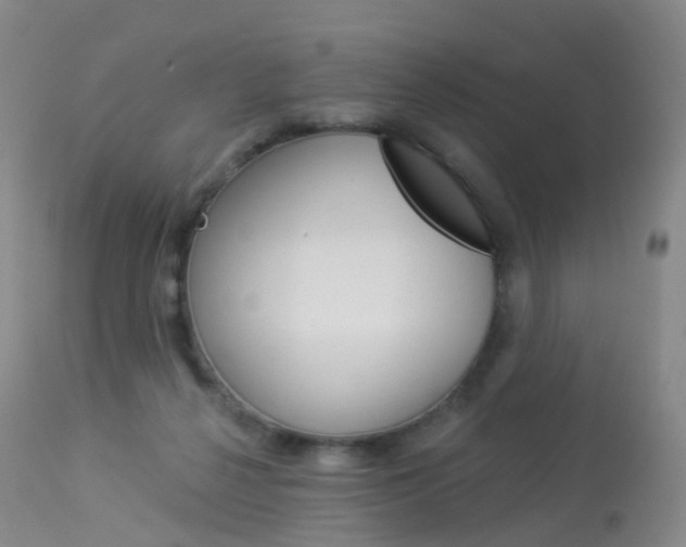 X0000113960264200909251034