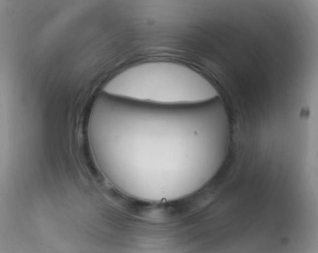 X0000113960267200909251034