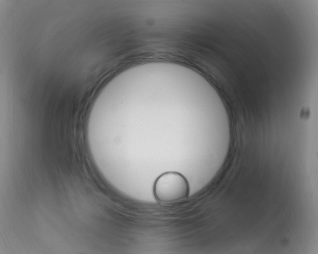 X0000113960268200909251034