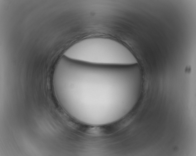 X0000113960269200909251034