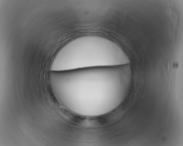 X0000113960270200909251034