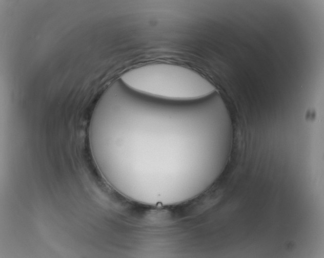 X0000113960271200909251034