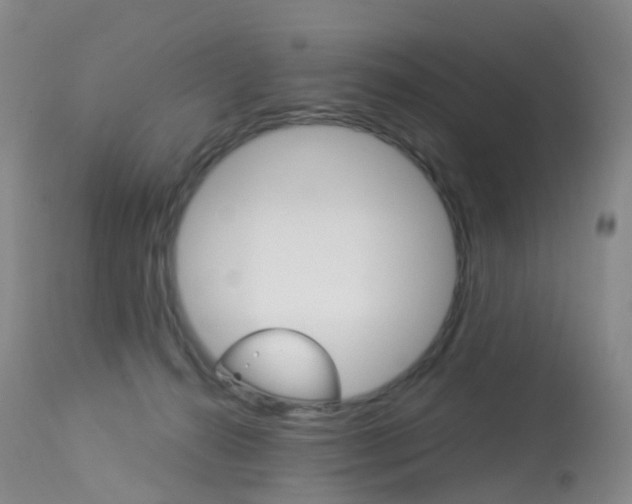 X0000113960272200909251034