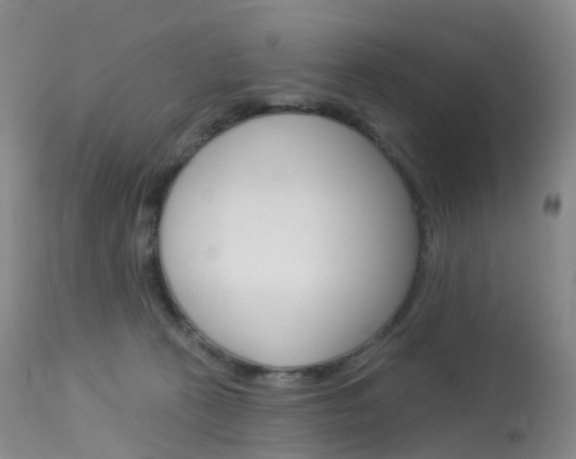 X0000113960273200909251034