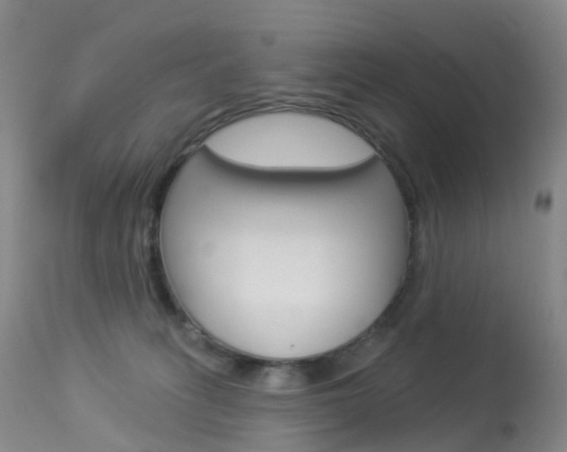 X0000113960275200909251034