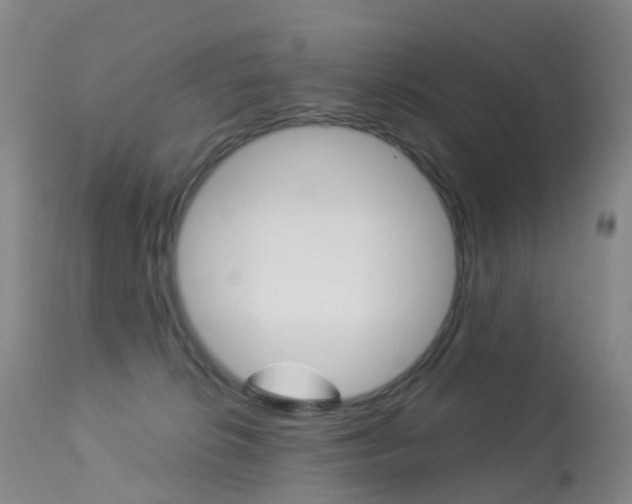 X0000113960276200909251034