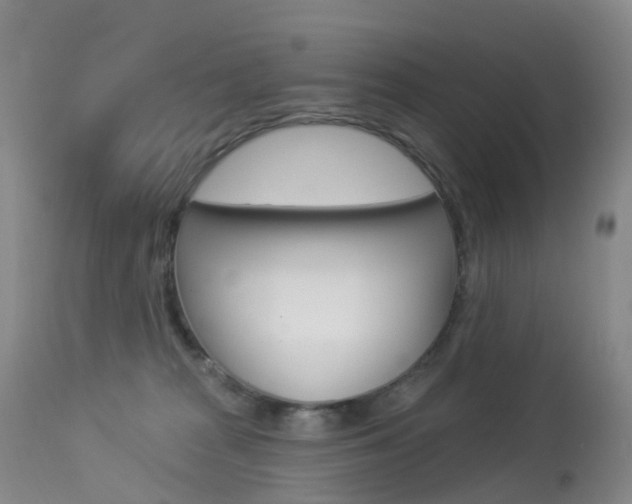 X0000113960277200909251034