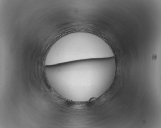 X0000113960278200909251034