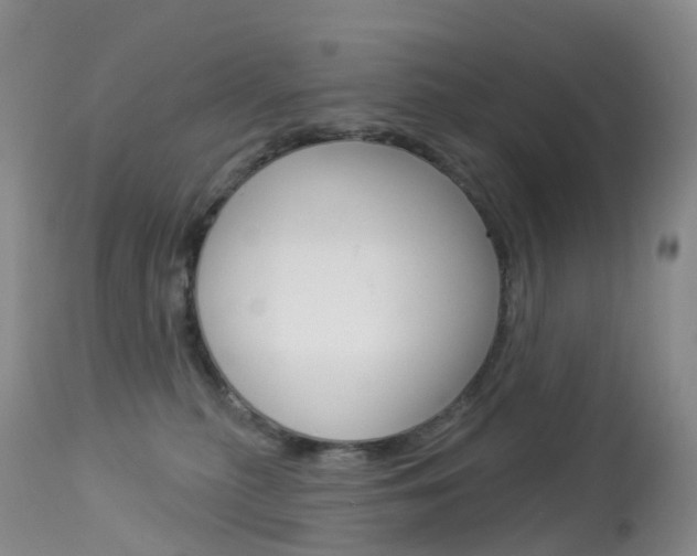 X0000113960279200909251034