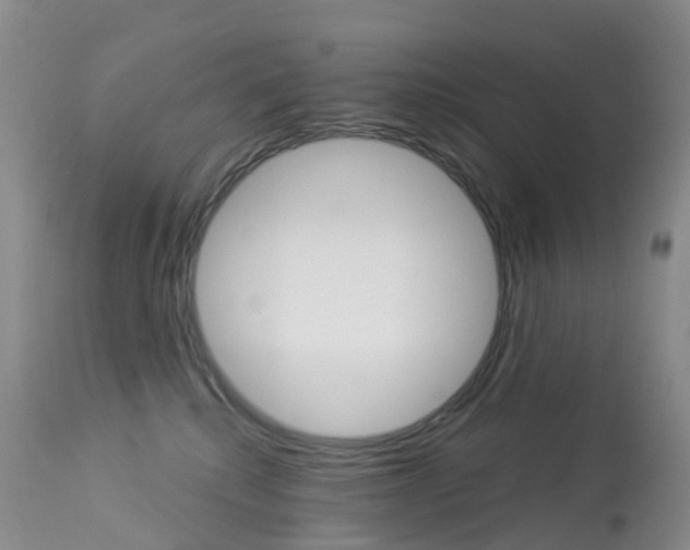 X0000113960280200909251034