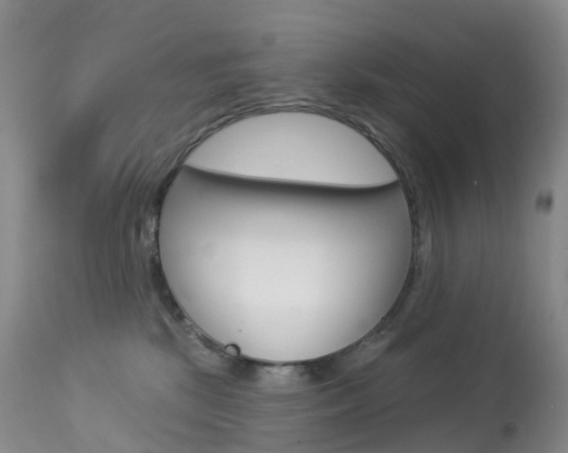 X0000113960281200909251034