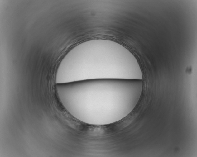 X0000113960282200909251034