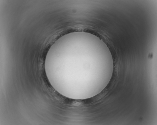 X0000113960283200909251034