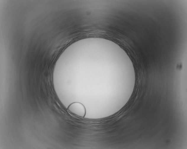 X0000113960284200909251034