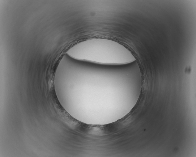 X0000113960285200909251034