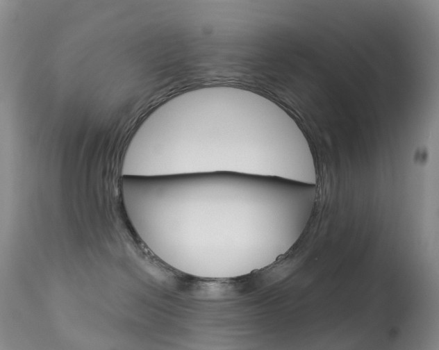 X0000113960286200909251034