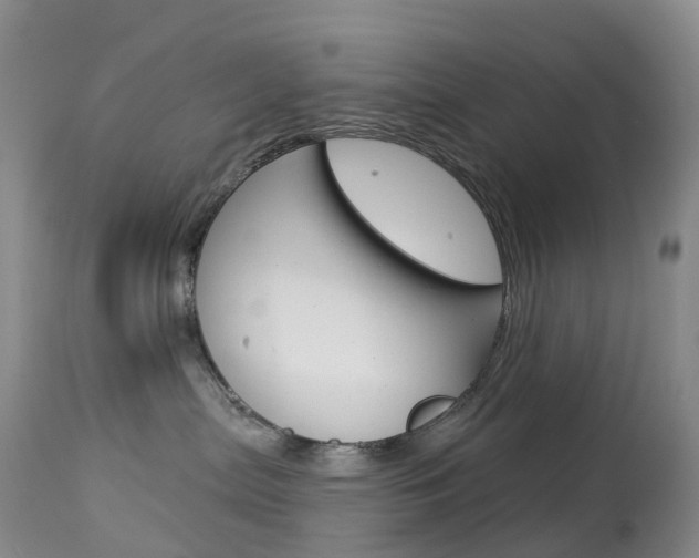 X0000113960287200909251034