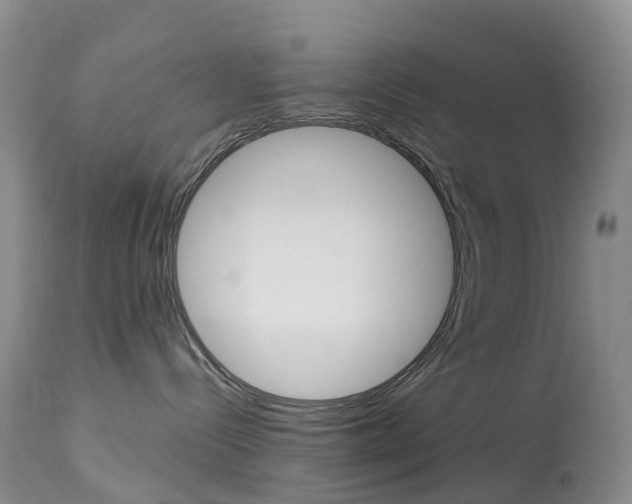 X0000113960288200909251034
