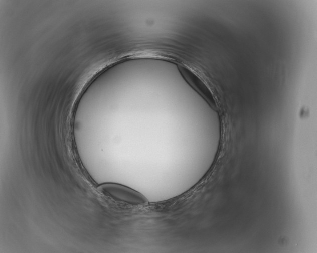 X0000113960289200909251033