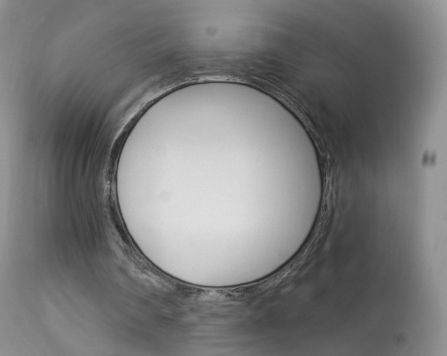 X0000113960290200909251033