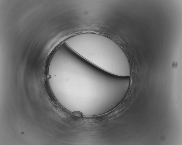 X0000113960291200909251033
