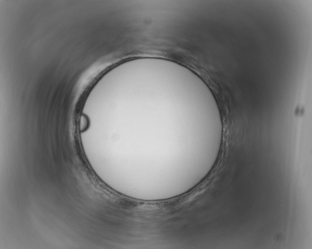 X0000113960294200909251033