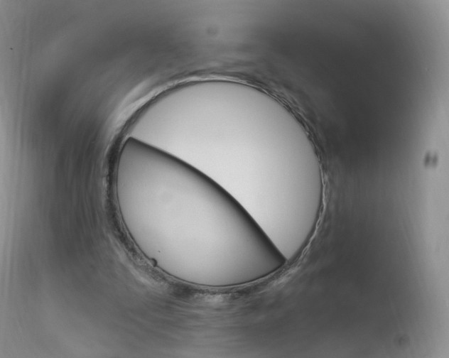 X0000113960295200909251033
