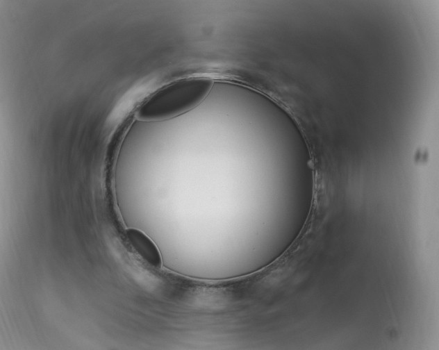 X0000113960296200909251033