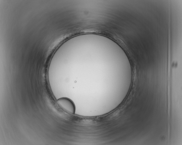 X0000113960298200909251033