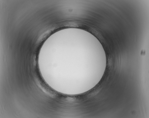 X0000113960302200909251033