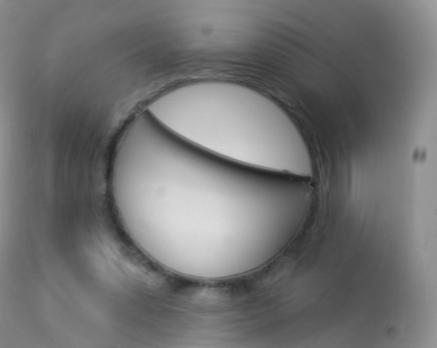 X0000113960303200909251033