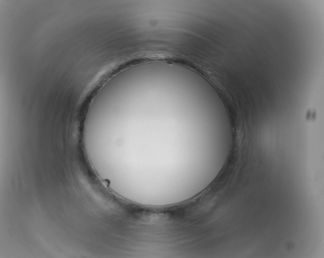 X0000113960304200909251033