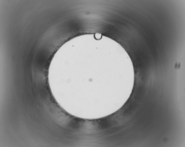 X0000113960305200909251033