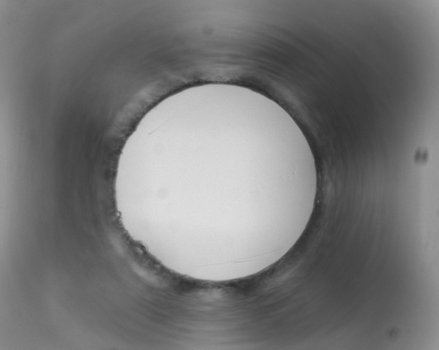 X0000113960307200909251033