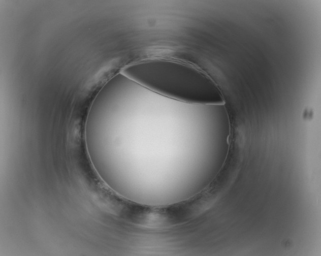 X0000113960308200909251033