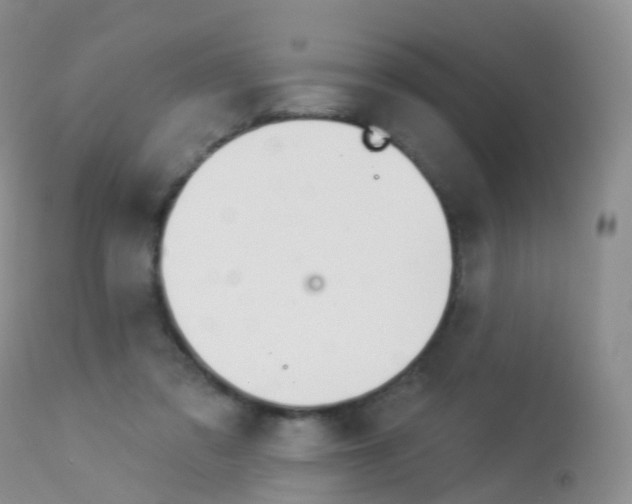 X0000113960309200909251033