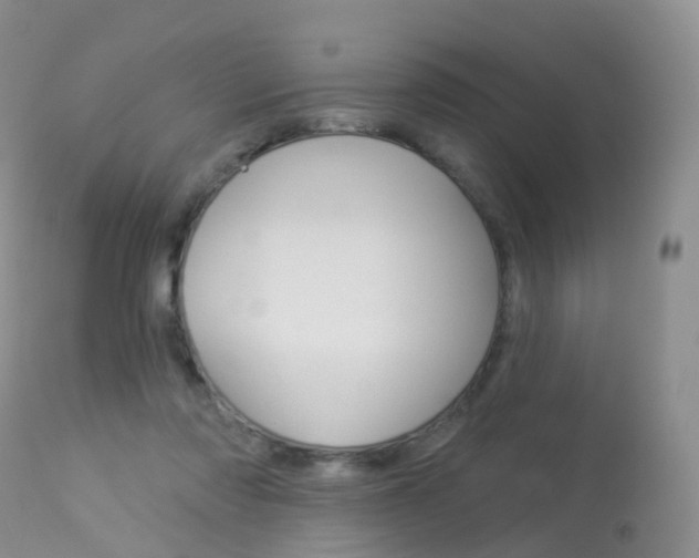 X0000113960310200909251033