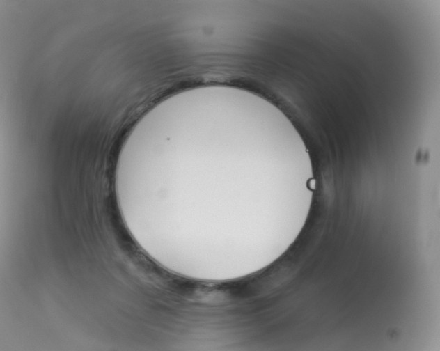 X0000113960311200909251033