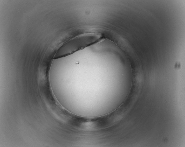 X0000113960312200909251033