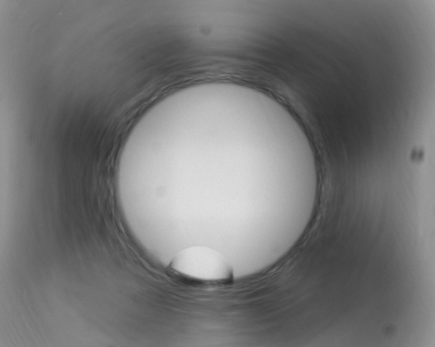 X0000113960313200909251033
