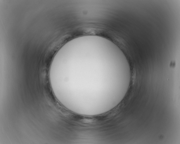 X0000113960314200909251033